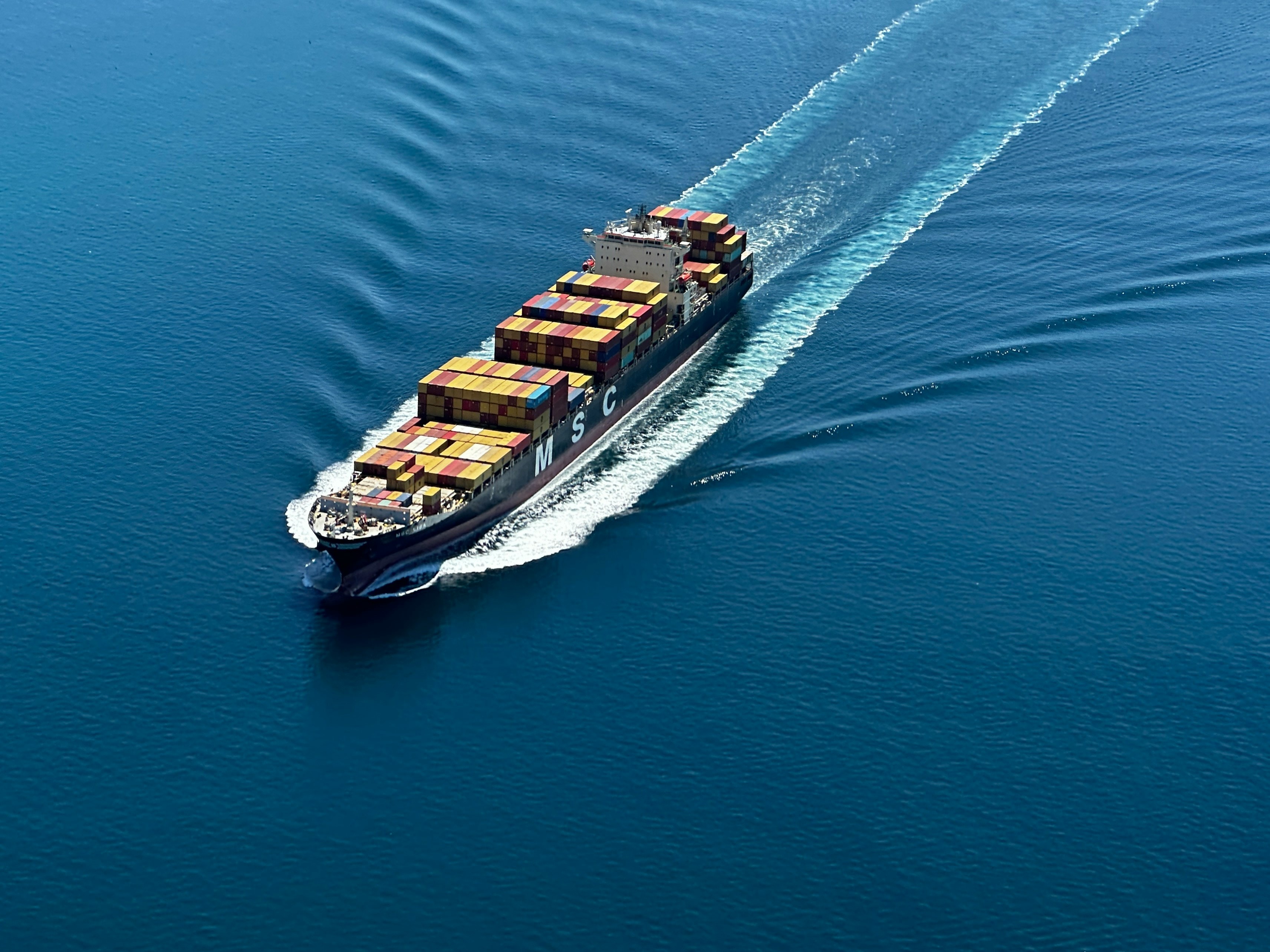 India to the World — container ship crossing open ocean